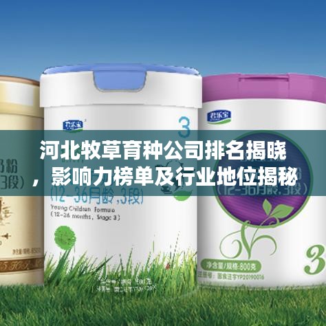 河北牧草育種公司排名揭曉,影響力榜單及行業(yè)地位揭秘