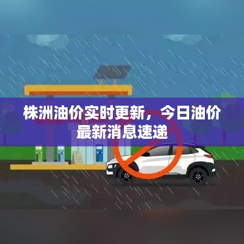 株洲油價實時更新,今日油價最新消息速遞