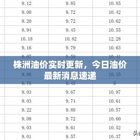 株洲油價實時更新,今日油價最新消息速遞