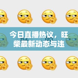今日直播熱議，旺柴最新動態與違法犯罪問題探討深度解析