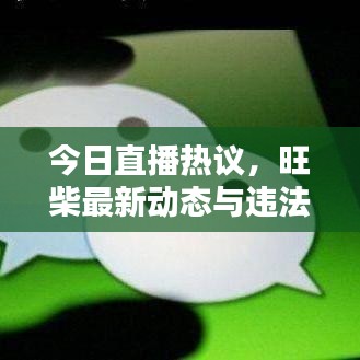 今日直播熱議,旺柴最新動態與違法犯罪問題探討深度解析