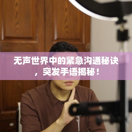 無聲世界中的緊急溝通秘訣,突發手語揭秘!