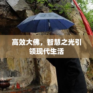 高效大佛,智慧之光引領現代生活