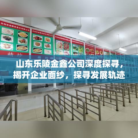 山東樂陵金鑫公司深度探尋,揭開企業面紗,探尋發展軌跡