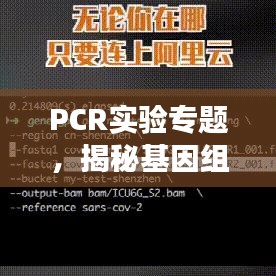 PCR實驗專題,揭秘基因組奧秘探索之旅