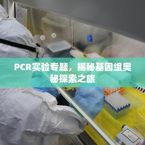 PCR實驗專題,揭秘基因組奧秘探索之旅
