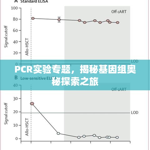 PCR實驗專題,揭秘基因組奧秘探索之旅