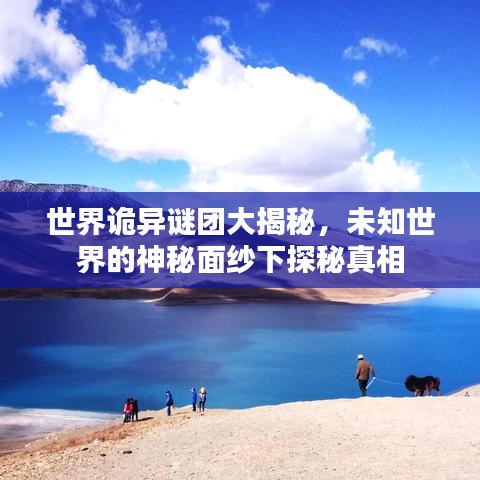 世界詭異謎團大揭秘,未知世界的神秘面紗下探秘真相