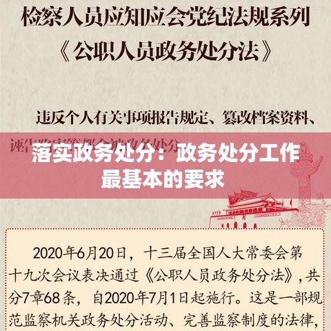 落實(shí)政務(wù)處分:政務(wù)處分工作最基本的要求