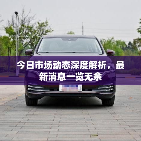 今日市場動態深度解析,最新消息一覽無余