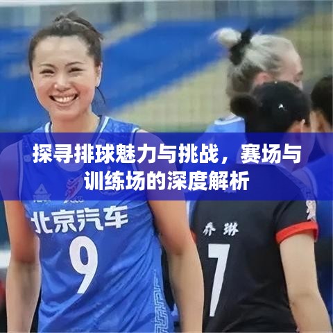 探尋排球魅力與挑戰(zhàn),賽場與訓(xùn)練場的深度解析