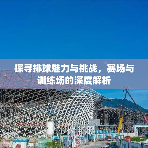探尋排球魅力與挑戰,賽場與訓練場的深度解析