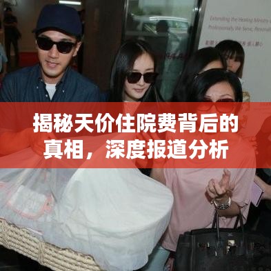 揭秘天價住院費背后的真相,深度報道分析