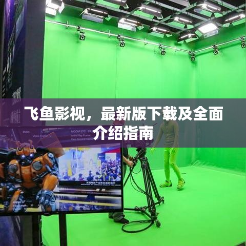飛魚(yú)影視,最新版下載及全面介紹指南