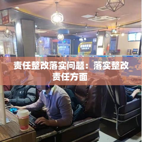 責任整改落實問題:落實整改責任方面