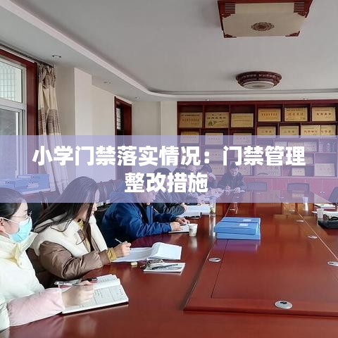 小學門禁落實情況:門禁管理整改措施