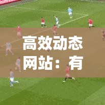 高效動態網站:有什么動態網站