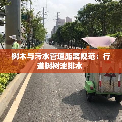 樹木與污水管道距離規范:行道樹樹池排水