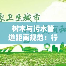 樹木與污水管道距離規范:行道樹樹池排水