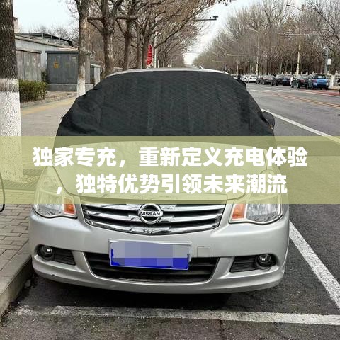 獨家專充,重新定義充電體驗,獨特優勢引領未來潮流