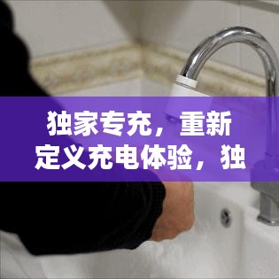 獨家專充,重新定義充電體驗,獨特優勢引領未來潮流