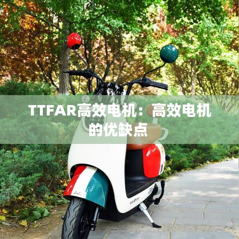 TTFAR高效電機:高效電機的優缺點