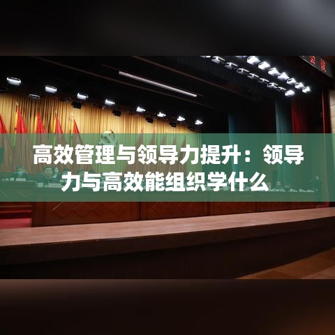 高效管理與領導力提升:領導力與高效能組織學什么
