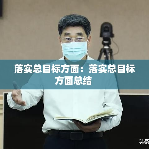 落實總目標方面:落實總目標方面總結