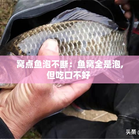 窩點魚泡不斷:魚窩全是泡,但吃口不好