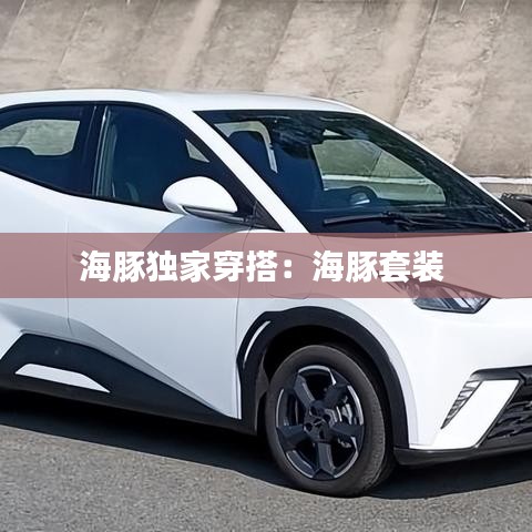 海豚獨(dú)家穿搭:海豚套裝