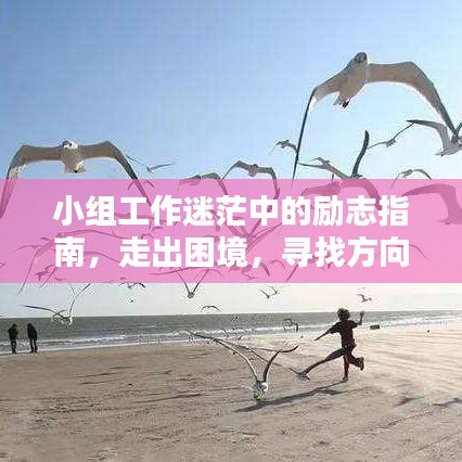 小組工作迷茫中的勵志指南,走出困境,尋找方向的力量語錄