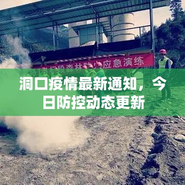 洞口疫情最新通知,今日防控動態更新