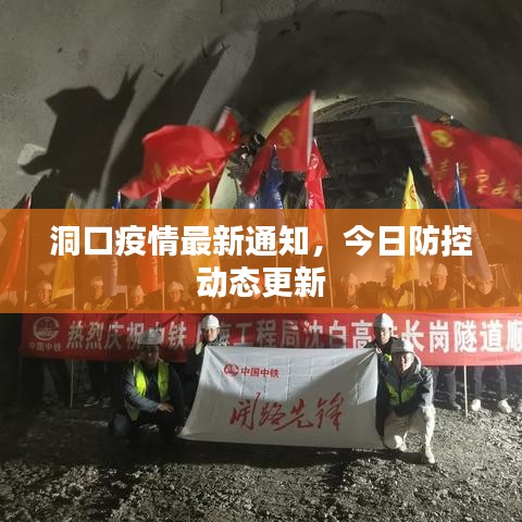 洞口疫情最新通知,今日防控動態更新