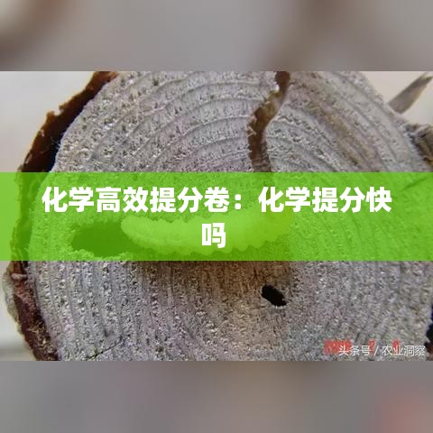 化學高效提分卷:化學提分快嗎