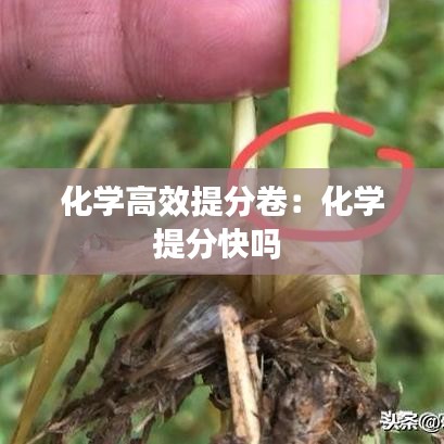 化學高效提分卷:化學提分快嗎