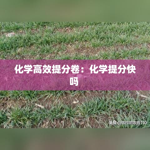 化學高效提分卷:化學提分快嗎