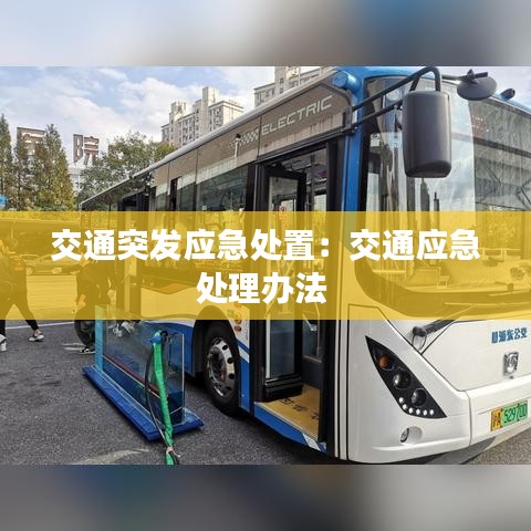 交通突發(fā)應(yīng)急處置：交通應(yīng)急處理辦法 