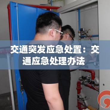 交通突發應急處置:交通應急處理辦法