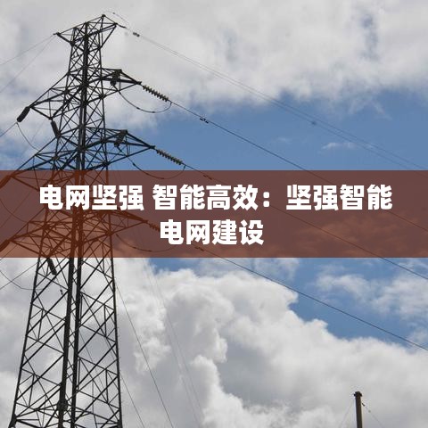 電網堅強 智能高效:堅強智能電網建設