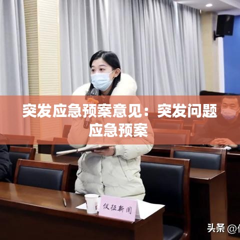 突發應急預案意見:突發問題應急預案