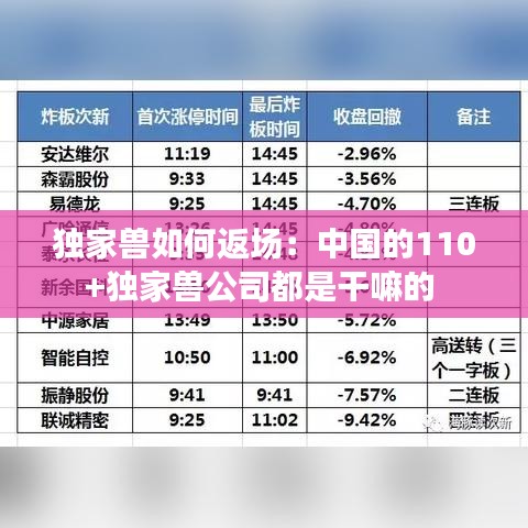 獨(dú)家獸如何返場:中國的110+獨(dú)家獸公司都是干嘛的