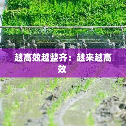 越高效越整齊:越來越高效