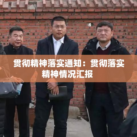 貫徹精神落實通知:貫徹落實精神情況匯報