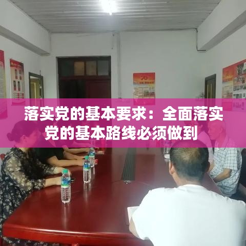 落實(shí)黨的基本要求:全面落實(shí)黨的基本路線必須做到