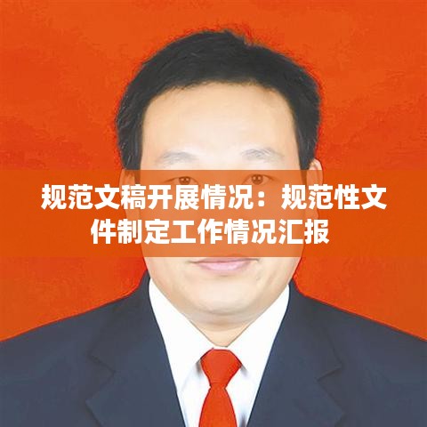 規范文稿開展情況:規范性文件制定工作情況匯報