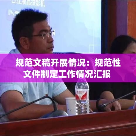 規范文稿開展情況:規范性文件制定工作情況匯報