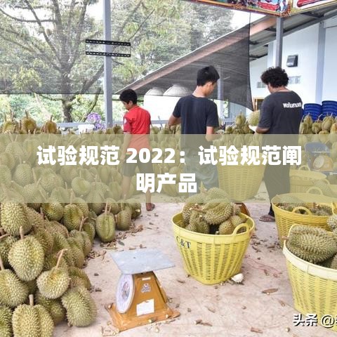 試驗規范 2022:試驗規范闡明產品
