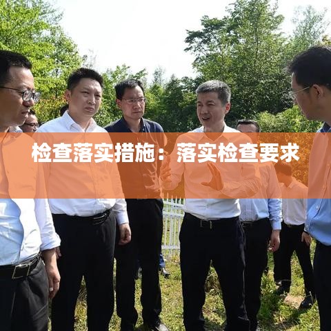 檢查落實(shí)措施:落實(shí)檢查要求