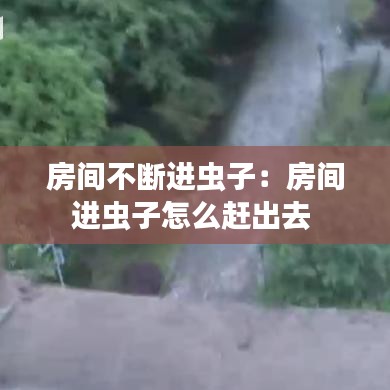 房間不斷進蟲子:房間進蟲子怎么趕出去