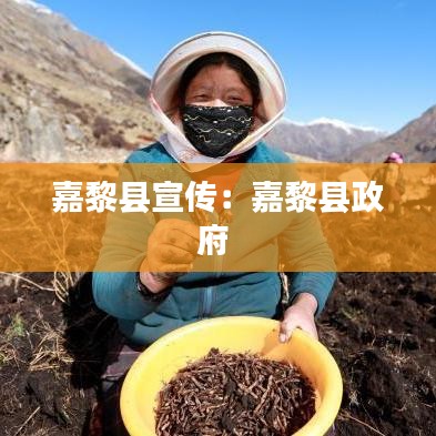 嘉黎縣宣傳:嘉黎縣政府